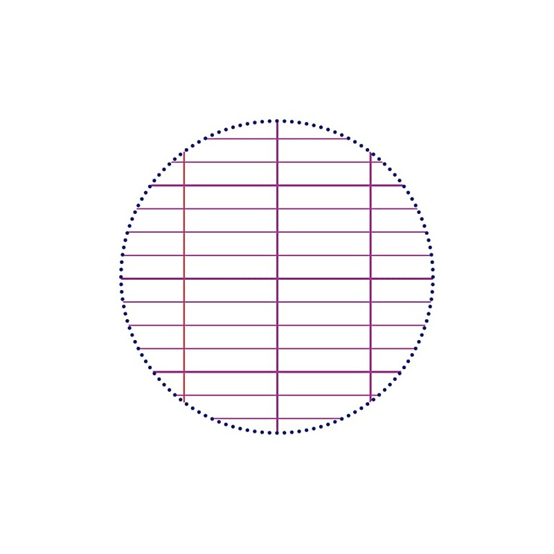 Clairefontaine 5819C Course Pad (with 100 Sheets, French Ruling, DIN