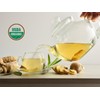 Tozzy USDA Organic Ginger Tea - 100 Count (Pyramid Tea