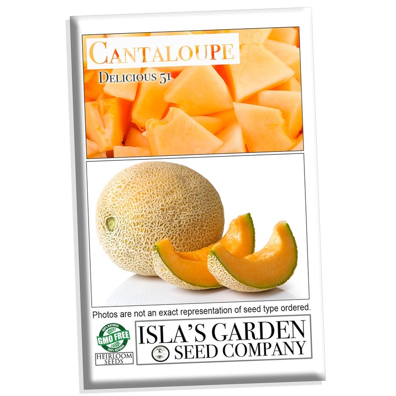 Delicious 51" Cantaloupe Seeds for Planting, 50+ Heirloom Melon Seeds