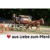 Post Bit Rod Fixed Side Panels Driving Horses Carriage