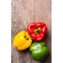 KIRA SEEDS - Sweet Bell Pepper Rainbow Mix - Heirloom Vegetable - GMO Free
