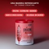 BIRDMAN Creatine Refresher Creatina Monohidratada con Electrolitos y Magnesio Sin
