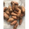 Turmeric Roots 10 Fresh Turmeric Roots Curcuma Longa Ready To