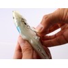 DAIWA Moissanite Sail Upper 165F Kabibora Lure