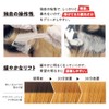 [got2b] Bonding Retouch Bleach (Root Retouch/Damage-less/Clay Bleach/Pudding Hair Elimination)