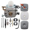 MOTOALL Carburetor C1U-K78 with Tune-Up Kit for ECHO Blower PB200