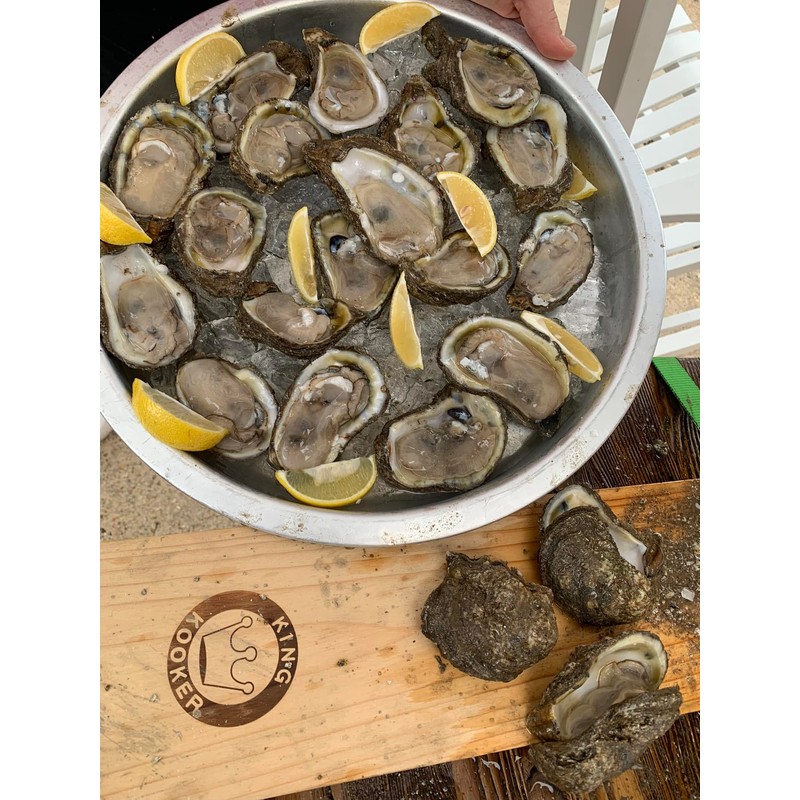 King Kooker 5500 Stainless Steel Oyster Opener, with Oyster Knife