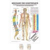 Rüdiger Meridians and Thorn Mini Poster Anatomy 34 x 24