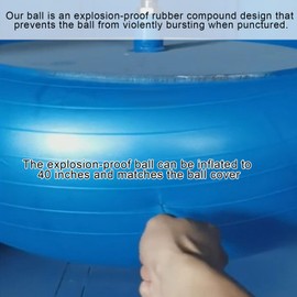 Giant Herding Ball with Ball Cover Anti Burst Please Watch VCR for How to Inflation Horse Toys for Horses Entertainment Play, Pump Included (Stylish,40 Inch,Blue)