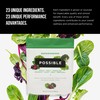Possible Possible SuperGreens - Superfoods Powder Mix with 23 Whole