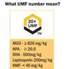 Manuka Honey 500g UMF 20+ (MGO 826+) Pure New Zealand