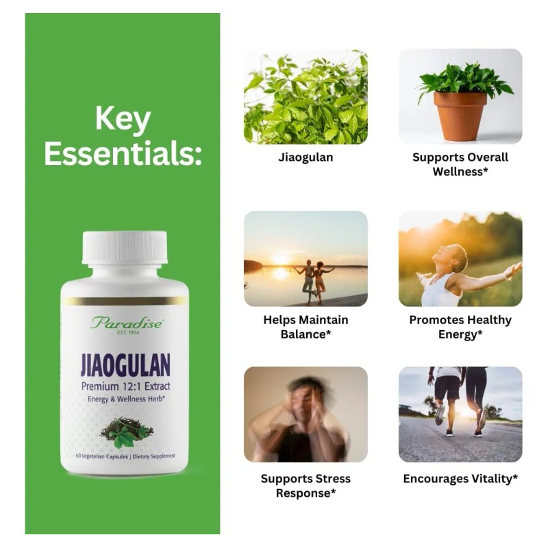 Paradise Jiaogulan Extracto Premium 121 60 Cpsulas 250 Mg Gynostemma