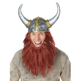 California Costumes Men's Viking Getup, Silver/Auburn, One Size