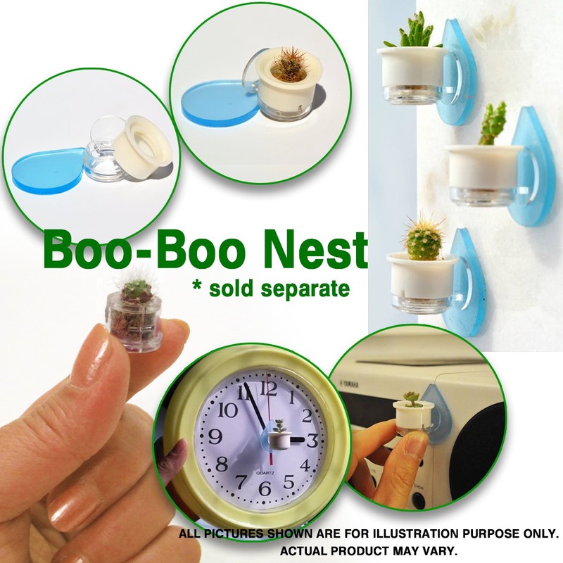 Apple Cactus Live Terrarium Plant Keychain Accessory