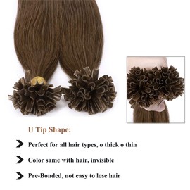 22 inch SEGO Pre Bonded Hair Extensions Real Human Hair [1g*100 Strands] #6 Light Brown Keratin U Tip Nail Tip Remy Hair Straight (100g)