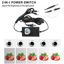 Photo Studio Light Box 24"x24", Dimmable Shooting Tent Kit with 198 LED Lights and 4 Color Backdrops for Product Photography