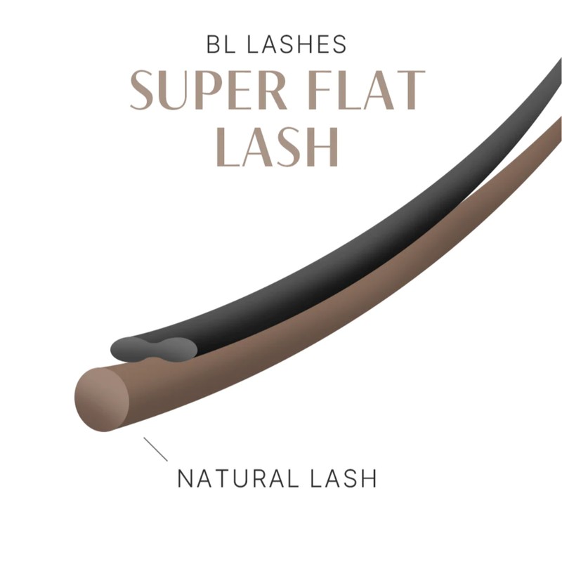 BL Lash Super Flat Flat Cap Deep Brown Eyelashes C