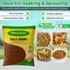 Black Chickpeas (Kala Chana) – Premium Dry Garbanzo Beans for