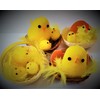 Shop4allsorts Set Of 2 Mini Easter Chicks In Nest Easter