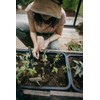 Fiskars Planting Trowel for Planting and Transplanting, Solid, Length: 28