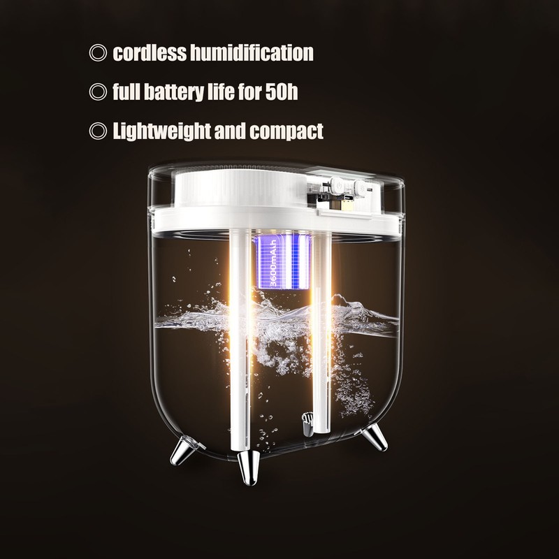 Humidifier 2L Capacity USB Charging Delicate Double Spray Humidifier with