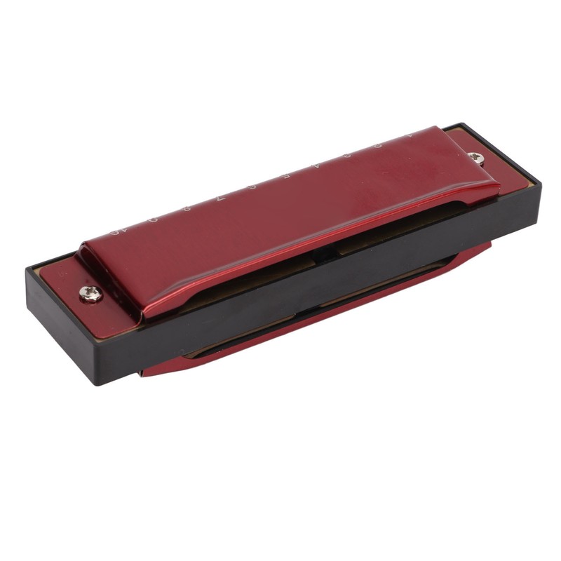Harmonica C Key 10 Holes Diatonic Scale Mouth Organ Musical