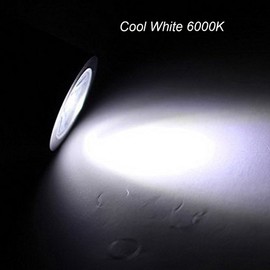 WeFoonLo 3W Wall Mounted Reading Light Flexible Gooseneck LED Sconce Lamp with Plug & Switch for Bedroom, Office, Workbench, Studio (01 Black Cool)