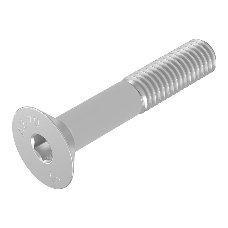 Vite a testa svasata SECCARO M10 x 55 mm, acciaio