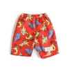 Escape Swim Shorts, Full Handle Swim Pants, Boys, red, 130
