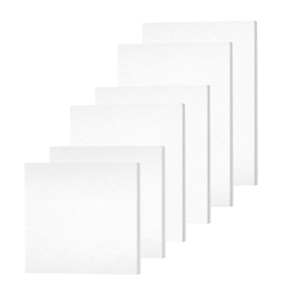 Pack of 6 Canvas for Painting, Canvas, 3 Sizes, 20