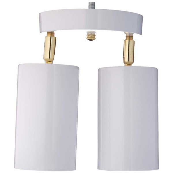 Westinghouse Lighting 6668200 Two Light Multi-Directional Ceiling Fixture,White
