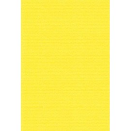 Eskent 27021501 Colored Drawing Paper, Rib Color, A5, Canary Yellow, 100 Sheets