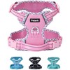 Petank Dog Harness Medium Sized Dog, Puppy Harness Medium Size