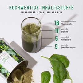 NATURTREU® Superfood Vegan Plant Ritual Powder, 300 g Smoothie Powder, Greens Powder with Wheatgrass, Barley Grass, Lucuma, Maca, Spinach, Moringa, Bacteria