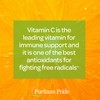 Puritans Pride Puritan's Vitamin C 1000mg with Bioflavonoids Rose Hips