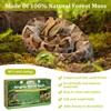 Legigo 14 OZ Sphagnum Moss for Reptile- 16 QT Natural