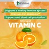 Pslalae - High Potency Iron Gummies - 650MG - Contains