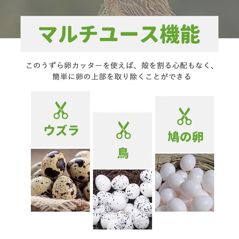 Quail Egg Cutter, Stainless Steel, Quail Egg Scissors, Quail Egg