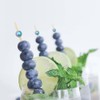 Cocktail Picks, 100PCS Toothpicks for Appetizers, Appetizing Skewers for Fruits