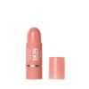 COVERGIRL CG TRUBLEND SKIN ENHANCER BALM Stick Nude Flush 220