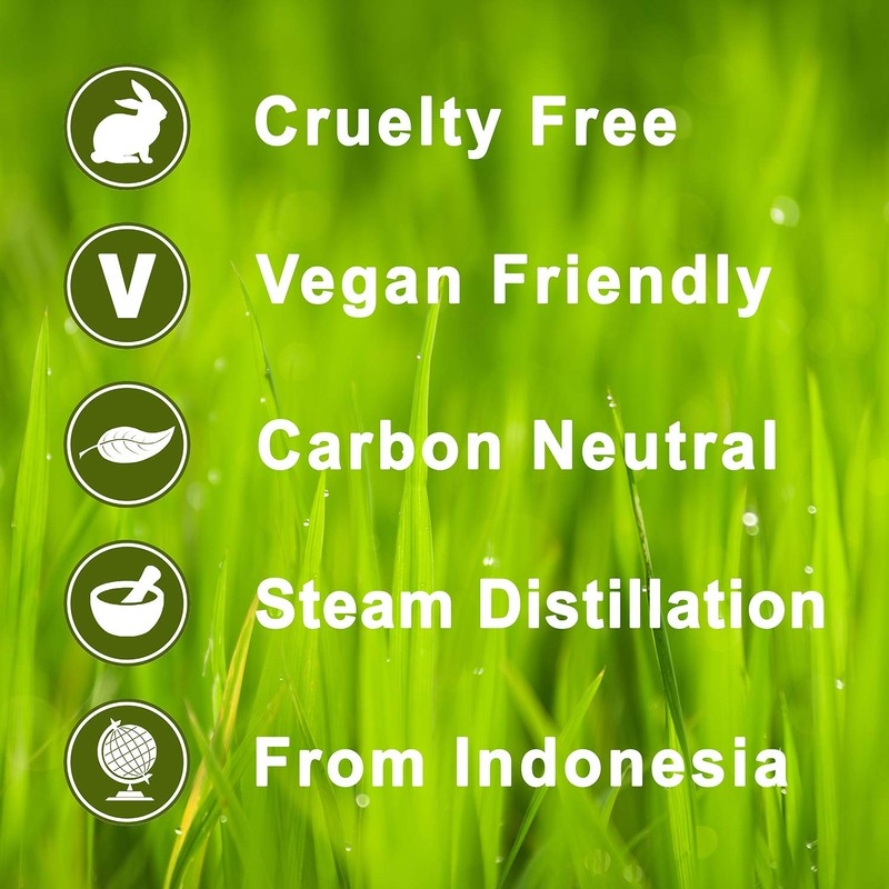 Cajeput (Cajput, Cajuput) Aromatherapy Oil 30ml