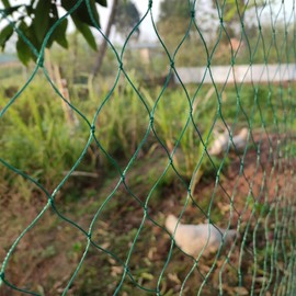 LXGKREL Aviary Net Poultry Netting Very Robust with Mesh Width 4 cm Chicken Net Poultry Fence for Supplementing the Poultry House Made of 24 Nylon Wires