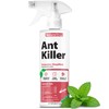 NatureStop Ant Killer 16oz (475mL)
