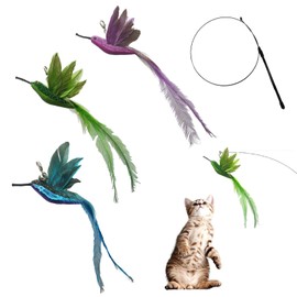 Cat Toy, Cat Toy, Set of 4, Hummingbird, Feather, Feather Toy, Cat Toy, Includes Bell and 1 Fishing Rod, Replaceable, Stress Relief, Cat Toy