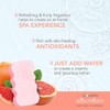 Spongeables Body Wash in a 20+ Wash Sponge, Sweet Grapefruit,