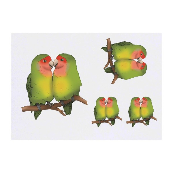4 x 'Lovebirds Cuddling' Temporary Tattoos - Water Resistant, Skin-Safe,