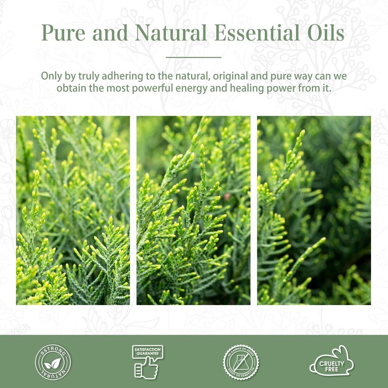 PHATOIL Hinoki, 3.4 fl oz (100 ml), Aroma Oil, Essential