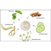 Skin Care By Suzie Vitaplex-C