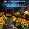 TANSOREN 3 Pack Solar Garden Lights Outdoor, 2 Lighting Modes