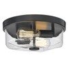 Luminzone Flush Mount Ceiling Light with Clear Glass Shade, 2-Light